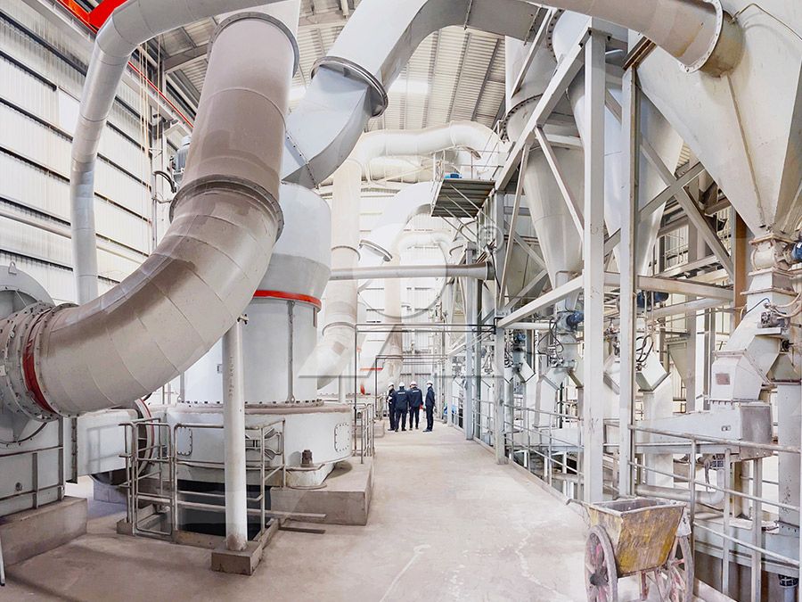 External lubrication system of the 5R4121 Raymond Mill showing oil lines and filter assembly