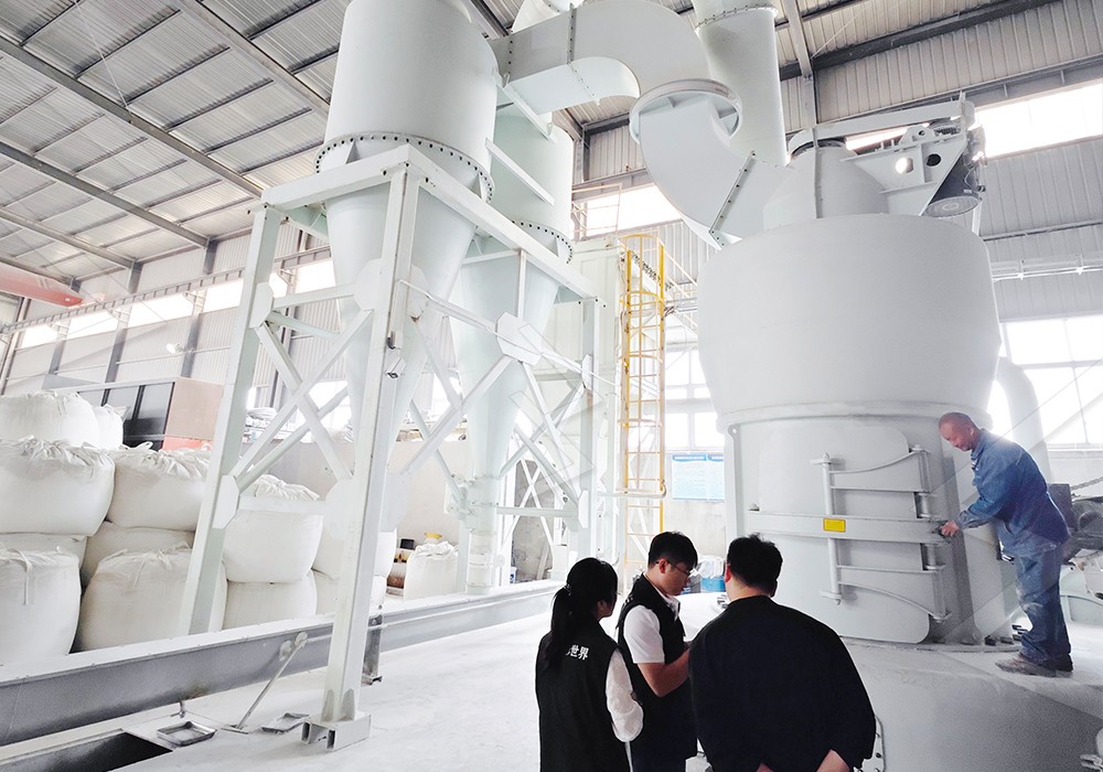 6R Raymond Mill installed on a mineral processing site with workers nearby