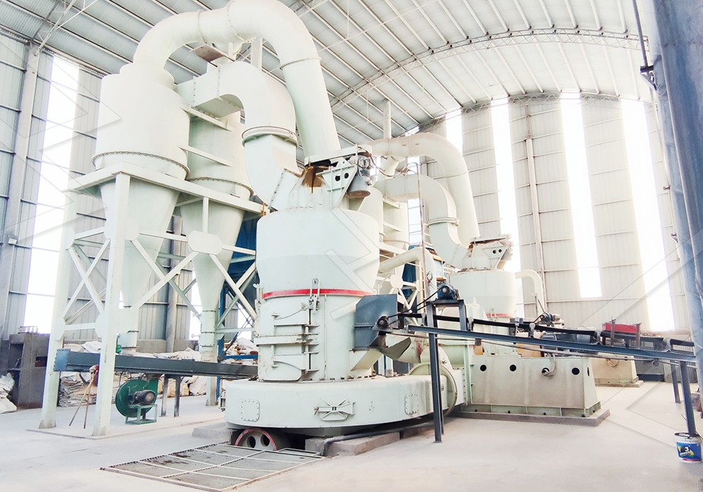 Technician inspecting external lubrication system on a Raymond Mill