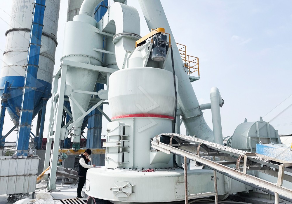 Detailed view of the cage-type powder separator in a grinding mill